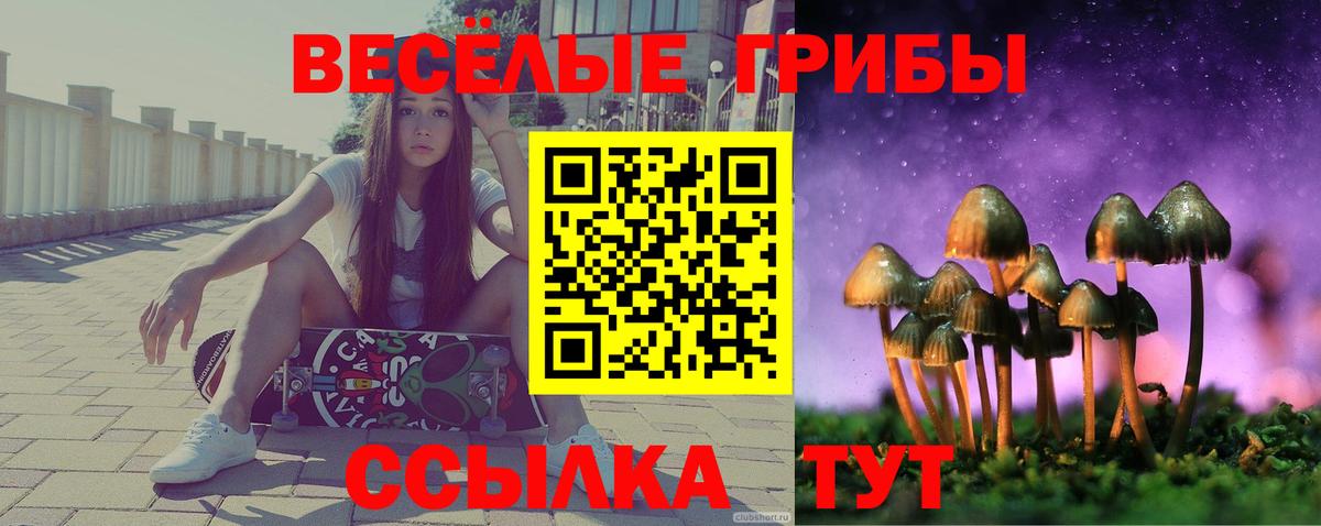 Галлюциногенные грибы MAGIC MUSHROOMS  Вход с VPN  Гулькевичи 